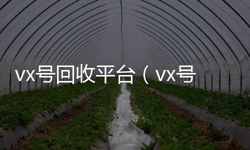 vx号回收平台（回收微信秒结vx号回收平台联系方式查询）